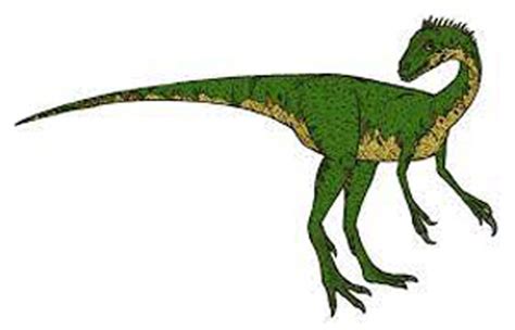 Coelurus dinosaur, facts | habitat - coelurus information