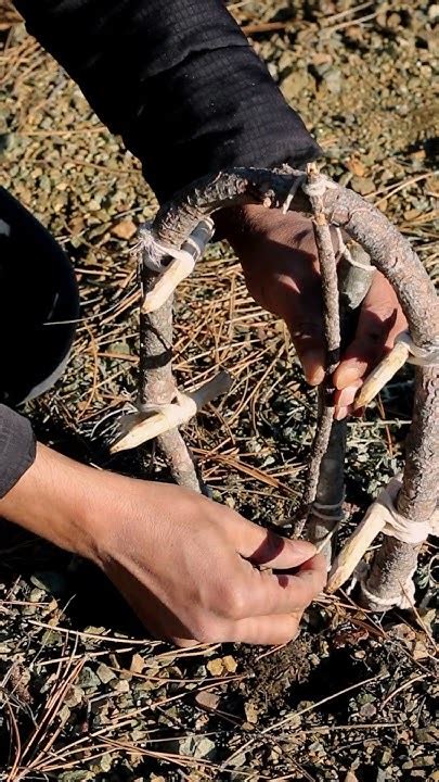 survival trap bushcraft survival outdoors trap youtube