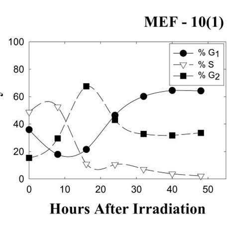 Changes In The Cell Cycle Phase Distribution Of The Wild Type P Cell