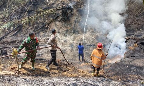 Aparat Gabungan Berjibaku Padamkan Kebakaran Lahan Di Pugung