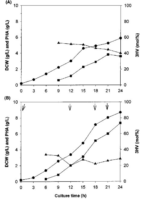 Time Courses Of Cell Growth And Pha Accumulation During The Cultivation