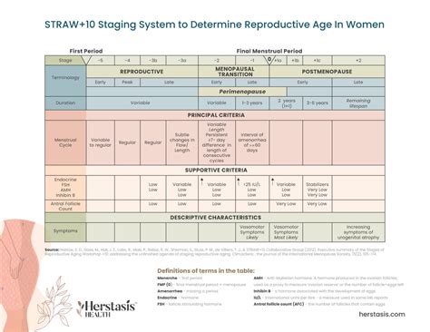 The 4 Step Menopause Partnership Guide For Men — Phil Hayes St Clair