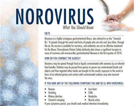 Norovirus: What You Should Know (patient poster) | Patient Safety Topic