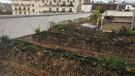 Millions Deuros Pour Les Jardins Partag S Et Lagriculture Urbaine