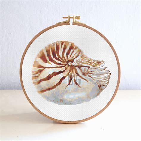 Shell Cross Stitch Pattern Beach Ocean Cross Stitch Pattern Etsy