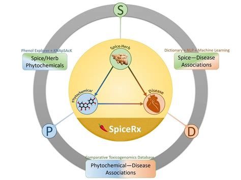 Spicerx Is An Integrated Repertoire Of Evidence Based Knowledge