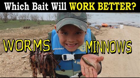 Bait Test Worms Vs Minnows Youtube