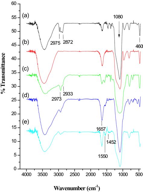 Fourier Transform Infrared Spectroscopy Ft Ir Spectra Of The A