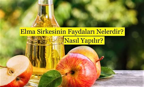 Elma Sirkesinin Faydaları Nelerdir Nasıl Yapılır Güzel Bilgiler