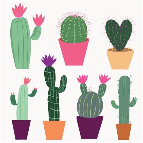 Premium Vector Vector Set Of Cacti