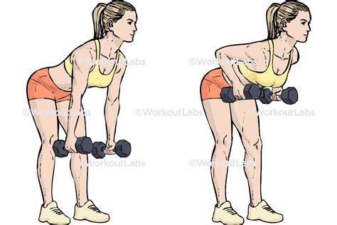 Standing Two Armed Bent Over Dumbbell Rows Workoutlabs Exercise Guide