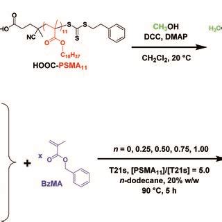 A Synthesis Of HOOC PSMA11 Macro CTA Via RAFT Solution Polymerization