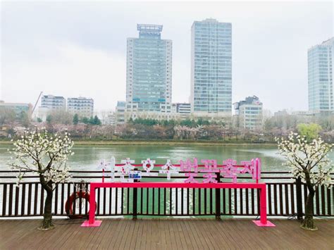 Korea Cherry Blossom Festival 2021 - IVisitKorea Lake Park, Outdoor Furniture Sets, Outdoor ...