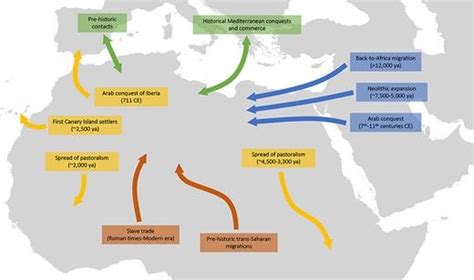 Population history of North Africa based on modern and ancient genomes ...