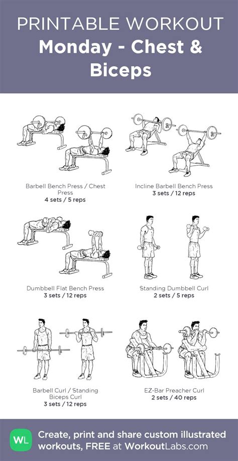 Chest Bicep Workout Bodybuilding at William Jennings blog