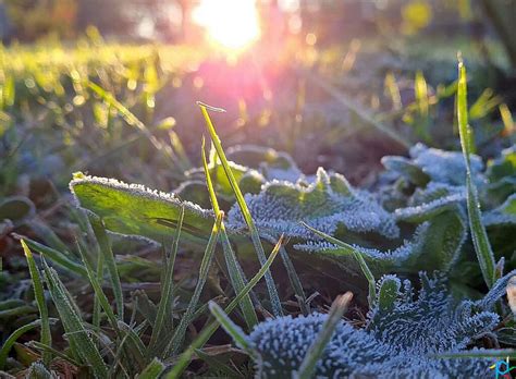 Geada E Muito Frio Paran Tem Menores Temperaturas Do Ano E Massa De