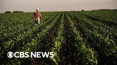 How Labor Shortages Are Impacting Farmers Youtube