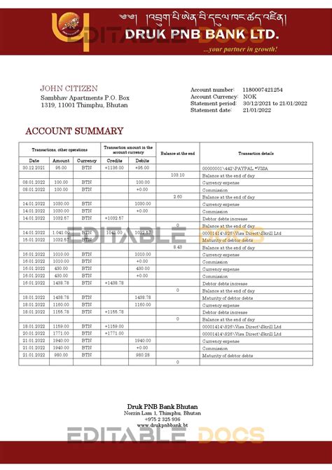 Bhutan Druk PNB Bank Statement Template In Word And PDF Format