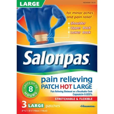 Jual Salonpas Pain Relieving Patch Hot Large S Di Seller Bisquitto Shop Baloi Indah Kota
