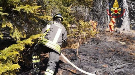 Incendio Nei Boschi Della Piana Di Vigezzo A Fuoco Metri