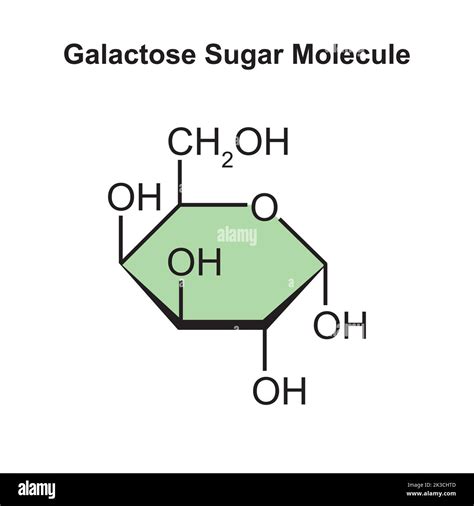 Galactosa estructura quimica fotografías e imágenes de alta resolución