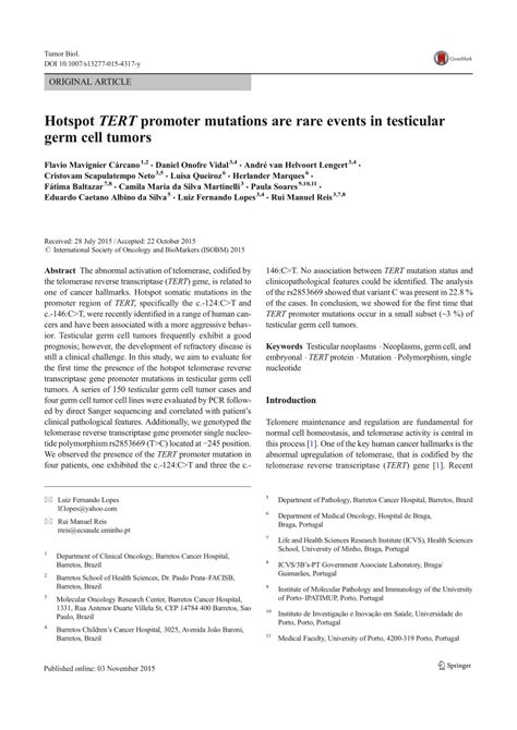 Pdf Hotspot Tert Promoter Mutations Are Rare Events In Testicular