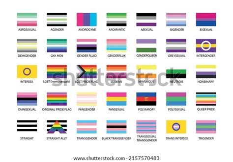 Large Set Lgbtq Community Flags Lgbt Stock Vector (Royalty Free ...