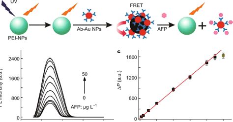 A Schematic Illustration Of The Fret Inhibition Assay For Afp Based