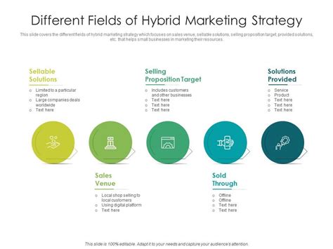 Different Fields Of Hybrid Marketing Strategy Presentation Graphics