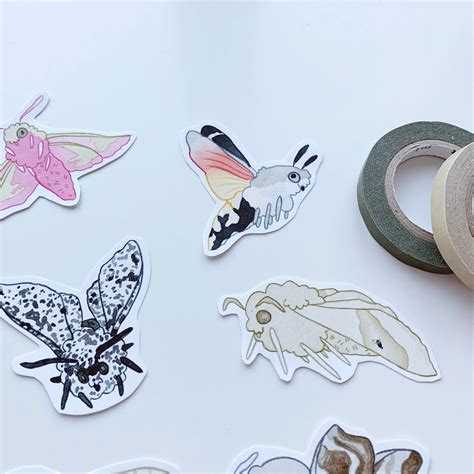 British Moths Sticker Set Cute Sticker Pack Vinyl Sticker Etsy