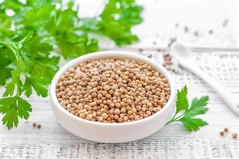 Beneficios Del Te De Semilla De Cilantro - Estos Beneficios