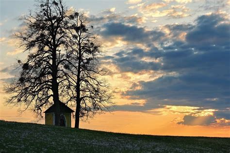 Des Arbres Loger Colline Le Photo Gratuite Sur Pixabay Pixabay