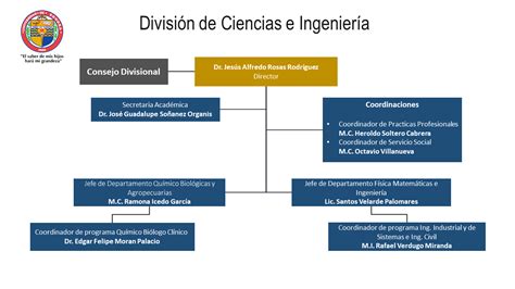 Organigrama División de Ciencias e Ingeniería