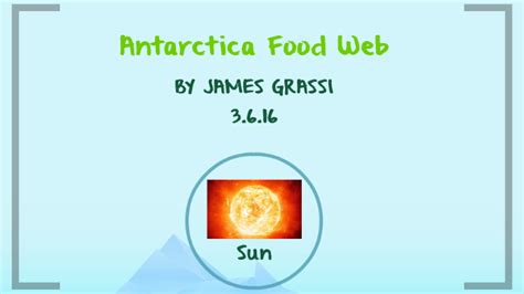 Antarctica Food Web by James Grassi on Prezi