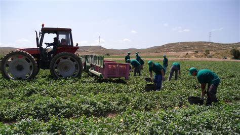 Fuerte Contracción De La Actividad Agraria En La Región Por La Escasez