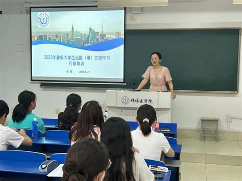 国际合作与交流处开展2023年暑假大学生出国（境）交流学习行前培训会 蚌埠医科大学国际合作与交流处 国际教学部 港澳台办公室