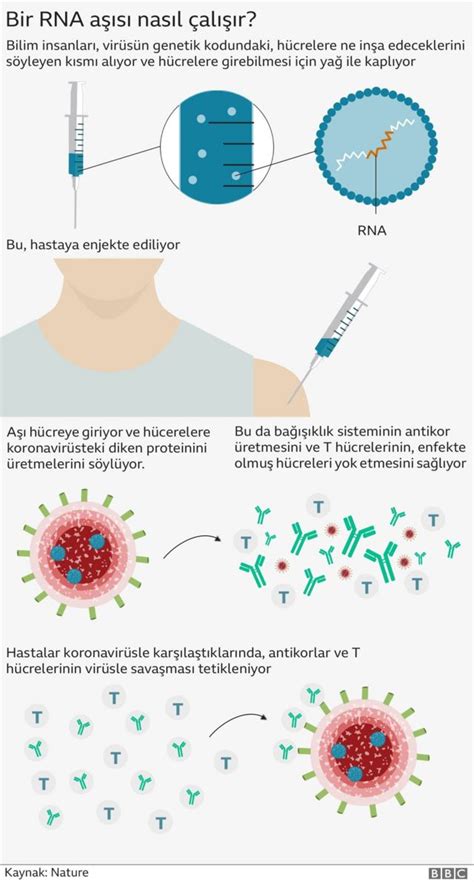 T Rkiye De Doz A Karar Neden Ihtiya Duyuldu Uzmanlar Ne Diyor