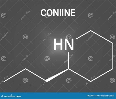 Coniine Herbal Toxin Molecule Present In Poison Hemlock Conium