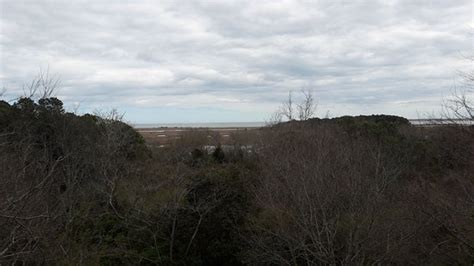 Eastern Shore of Virginia National Wildlife Refuge (Cape Charles) - All You Need to Know Before ...