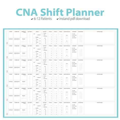 Stay Organized With 6 CNA Report Sheets Perfect For 12 Patients Medical