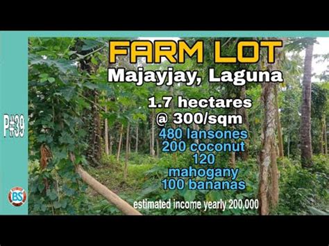 P 39 1 7 Hectares 300 Sqm Farm Lot In Majayjay Laguna Available