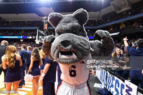 Gonzaga Mascot Photos and Premium High Res Pictures - Getty Images