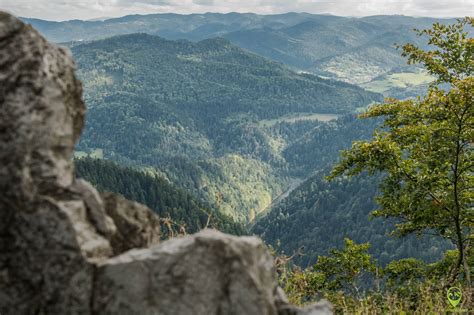 Sokolica i Sokola Perć w Pieninach szlak z Krościenka