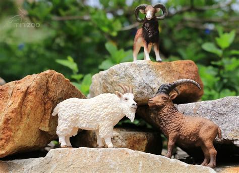 Up In The Mountains ⛰🐐🐏 Schleich Mountain Animals Set Available At