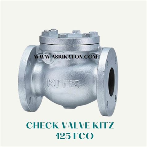 Jual CHECK VALVE KITZ 8 INCH 125 FCO 16K Di Lapak Asrikaton Asli