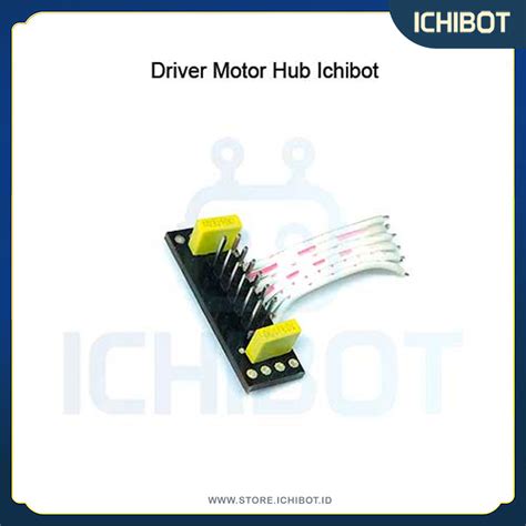 Motor Dc Mm Ichibot Encoder Internal Gearbox V Rpm Carbonbrush