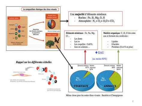 SOLUTION Organisation Moleculaire Du Vivant Studypool