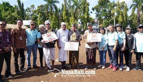 NUSABALI.com - Sapi Bali Jantan Bibit Berlomba Meriahkan HUT Kota Gianyar