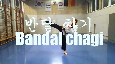 Taekwondo Techniques Coups De Pieds 03 Bandal Chagi YouTube