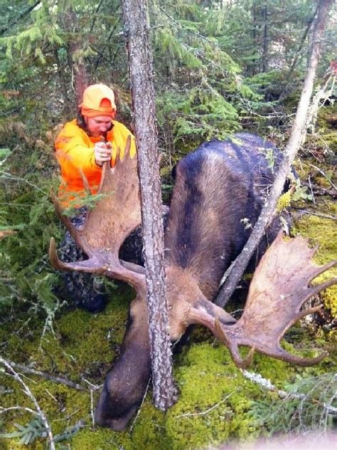 Canadian Moose Hunting Lodge